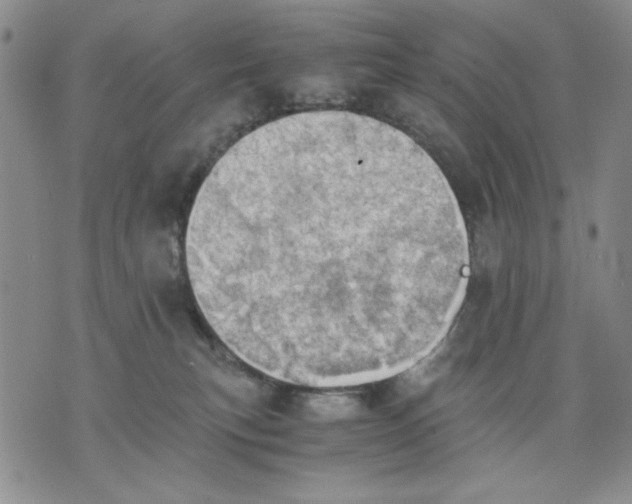 X0000075810183200610151439