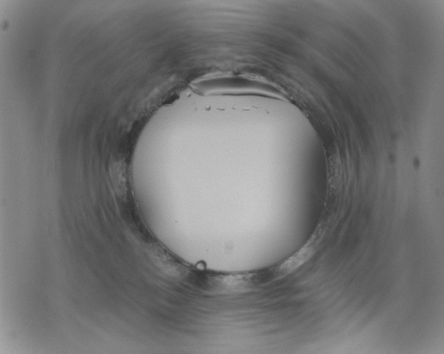 X0000075810184200610151439