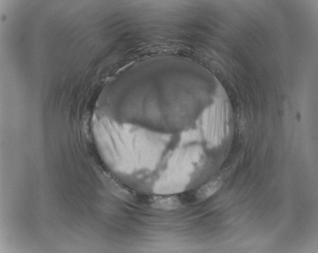 X0000075810185200610151439