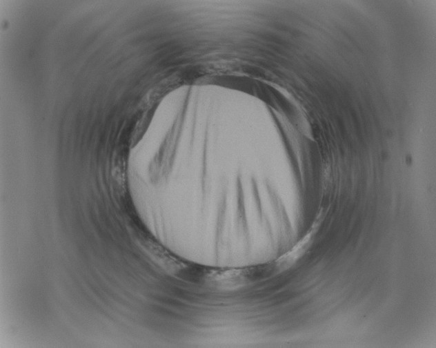 X0000075810186200610151439