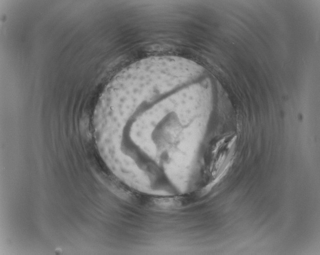 X0000075810187200610151439