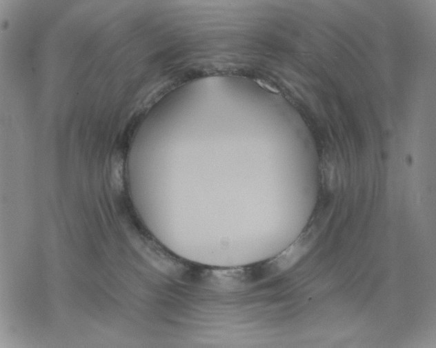 X0000075810188200610151439