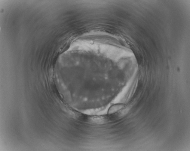 X0000075810189200610151439