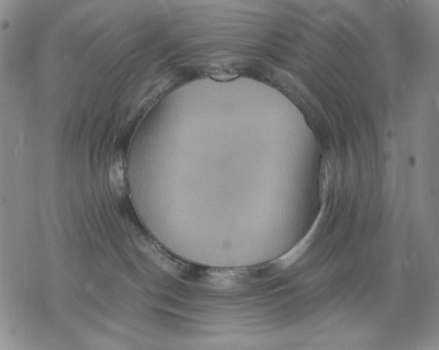 X0000075810190200610151439