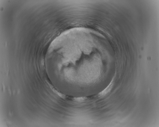 X0000075810192200610151439