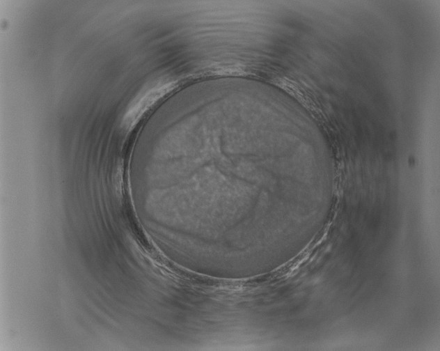 X0000075810194200610151438