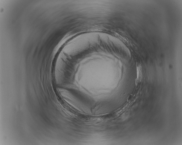 X0000075810195200610151438