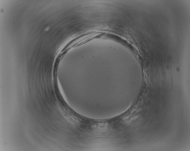 X0000075810196200610151438