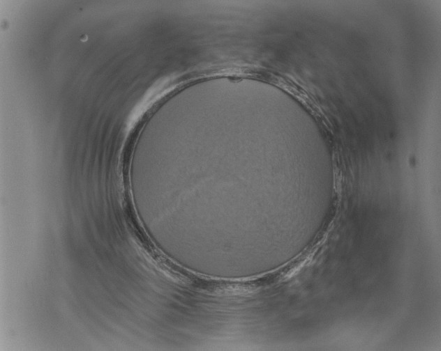 X0000075810198200610151438