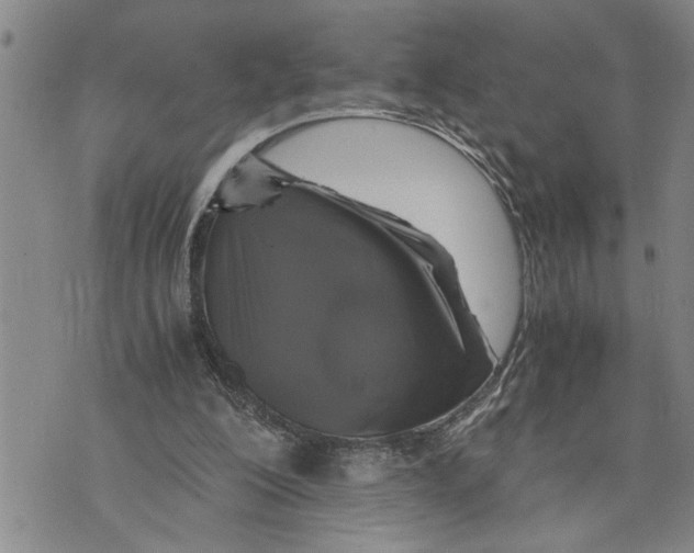 X0000075810200200610151438