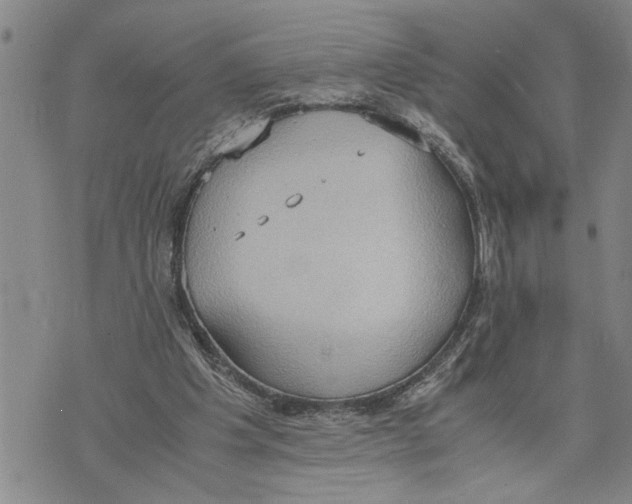 X0000075810201200610151438