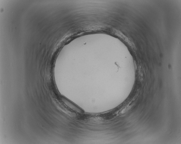 X0000075810203200610151438