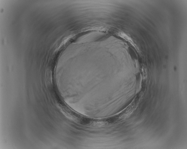 X0000075810205200610151438