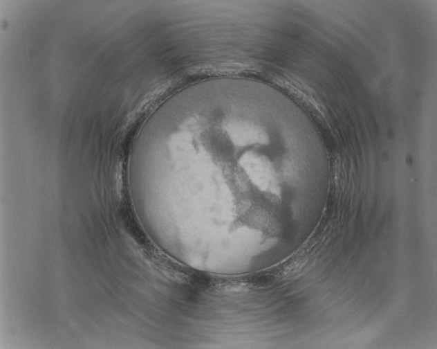 X0000075810206200610151438