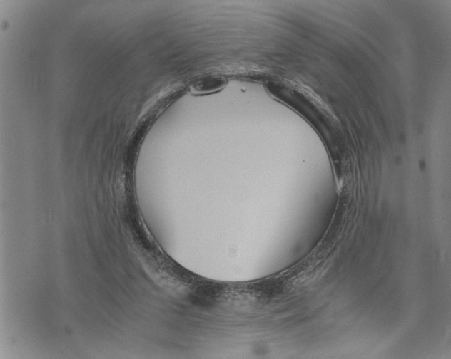 X0000075810207200610151438