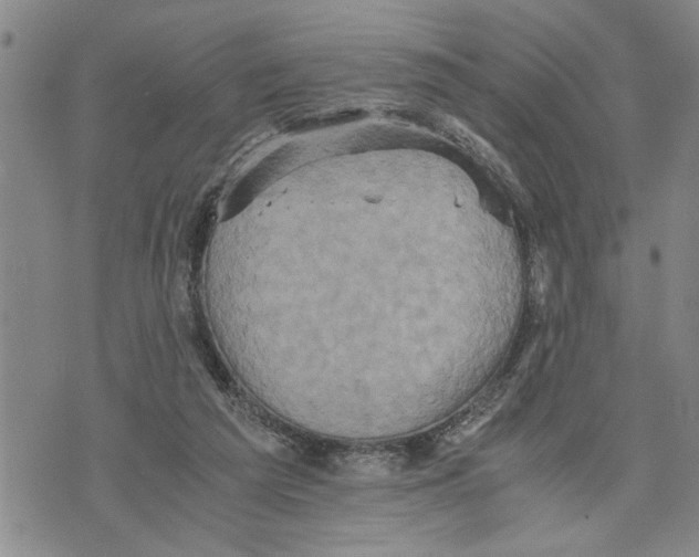 X0000075810209200610151438