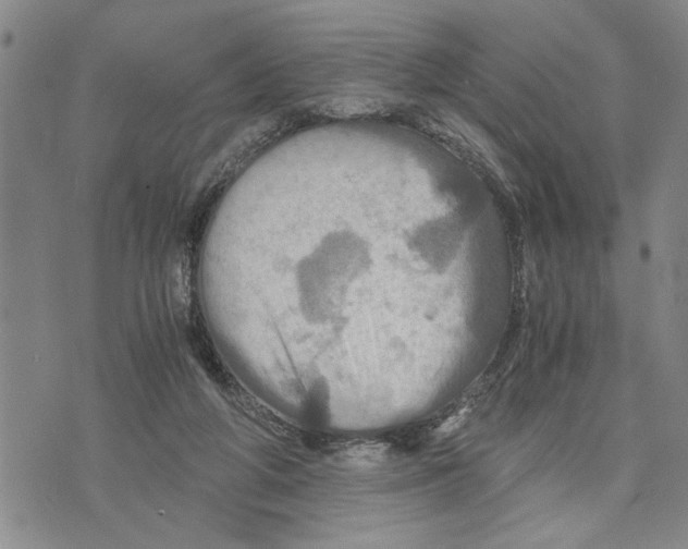 X0000075810210200610151438