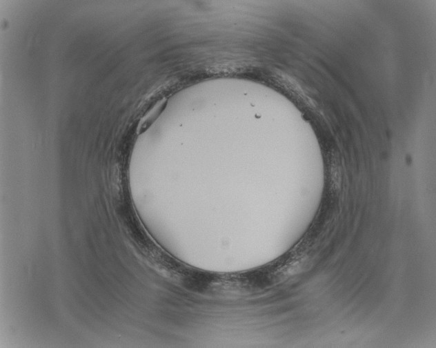 X0000075810211200610151438