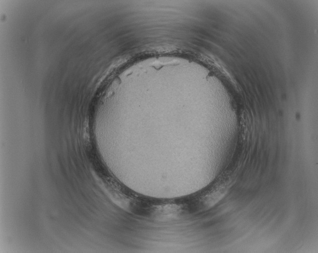 X0000075810212200610151438