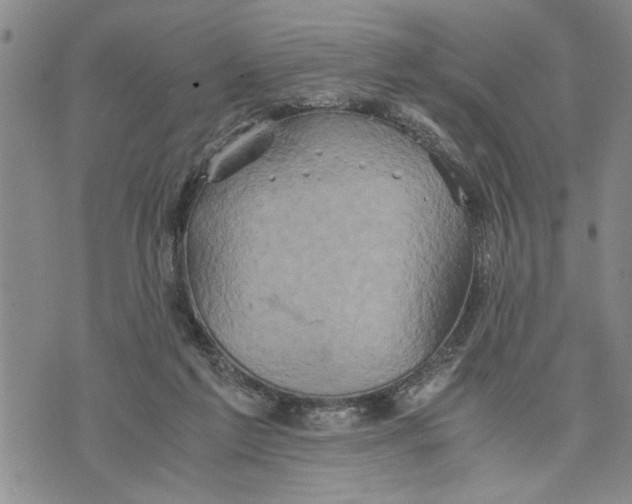 X0000075810213200610151438