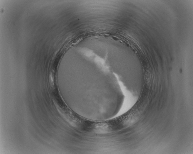 X0000075810214200610151438