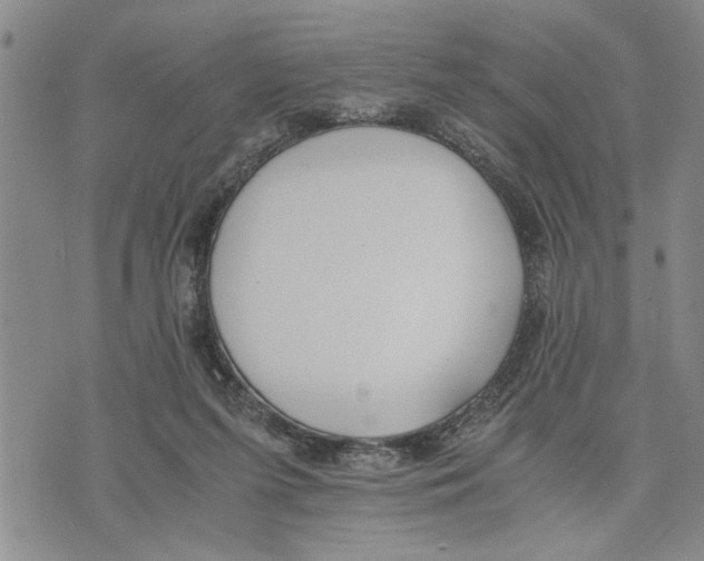 X0000075810215200610151438