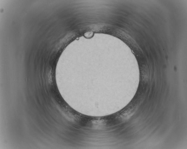 X0000075810216200610151438