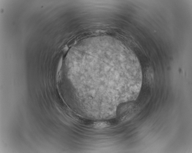 X0000075810218200610151438