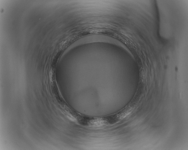 X0000075810219200610151438