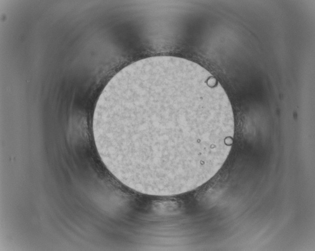 X0000075810220200610151438