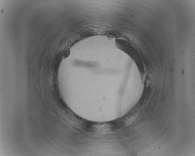 X0000075810221200610151438