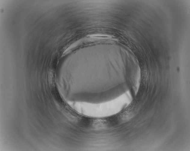 X0000075810222200610151438