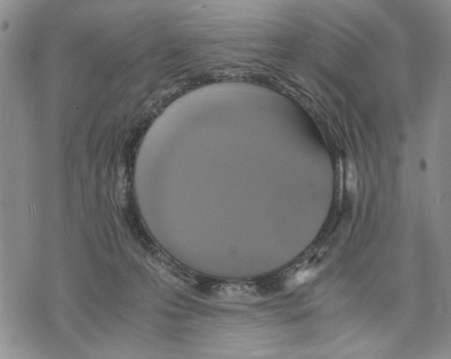 X0000075810223200610151438