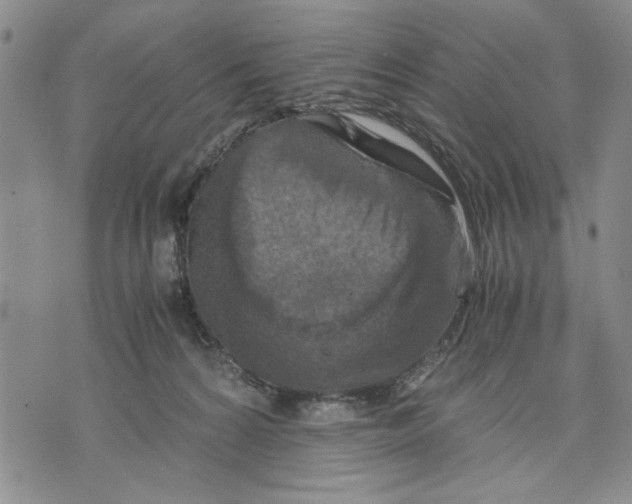 X0000075810224200610151438