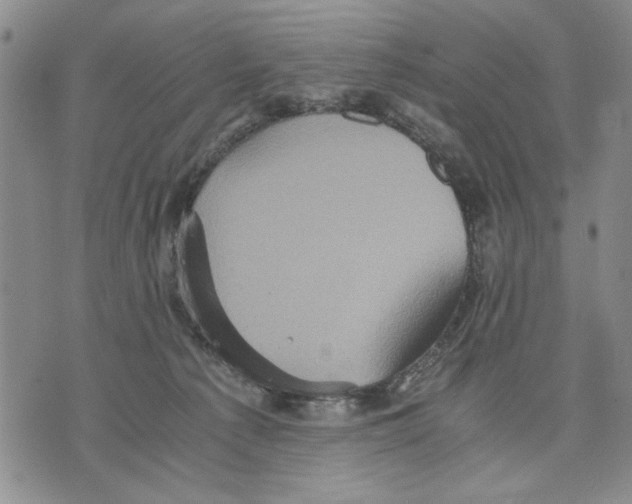 X0000075810225200610151438