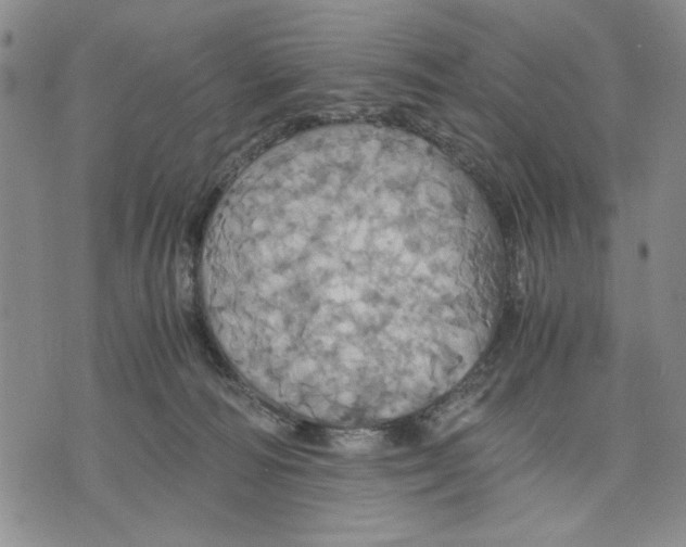 X0000075810226200610151438