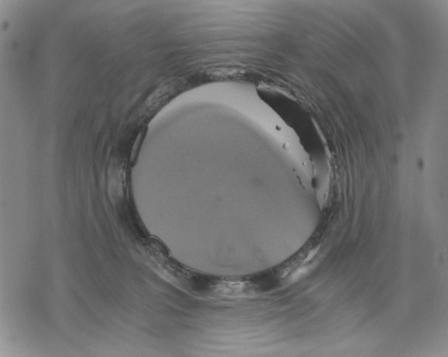 X0000075810227200610151438