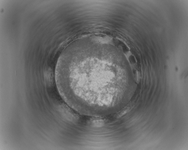 X0000075810228200610151438