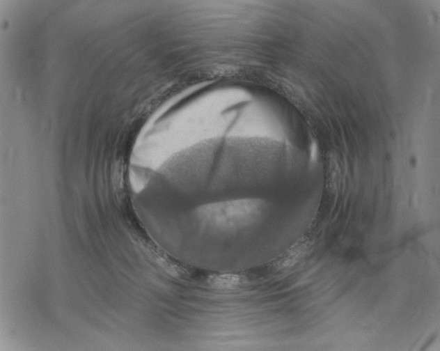 X0000075810230200610151438