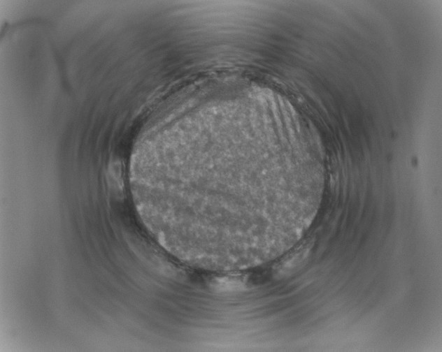 X0000075810232200610151438