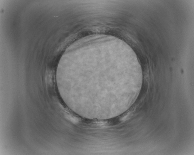 X0000075810233200610151438