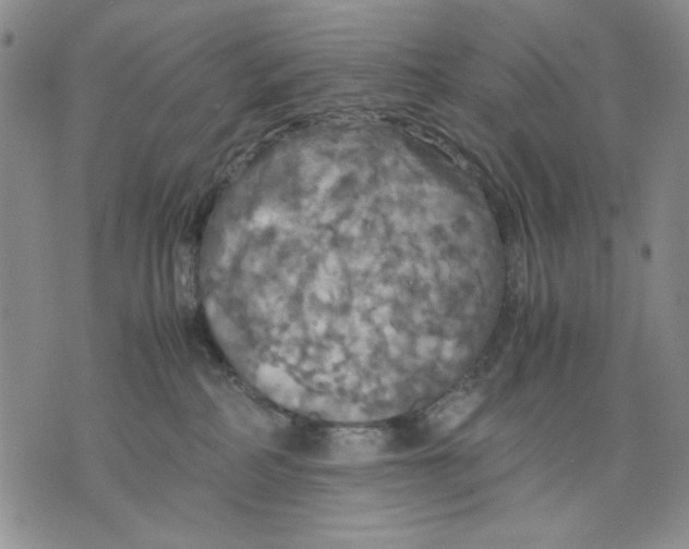 X0000075810234200610151438