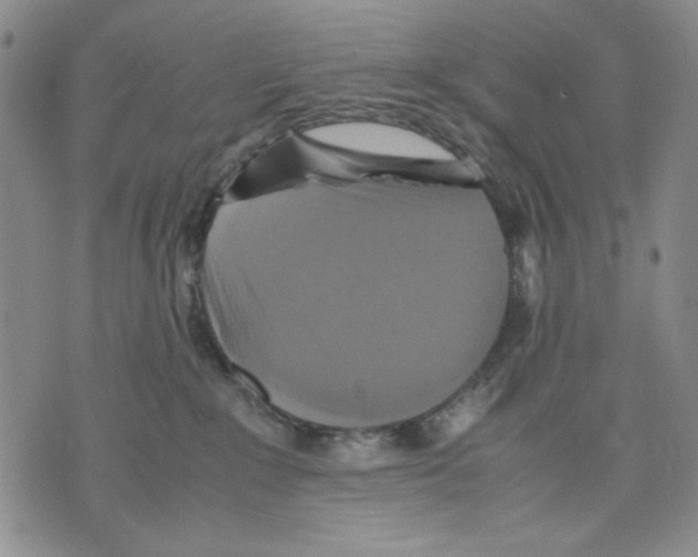 X0000075810235200610151438