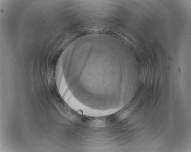 X0000075810236200610151438