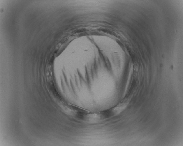 X0000075810237200610151438