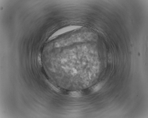 X0000075810238200610151438