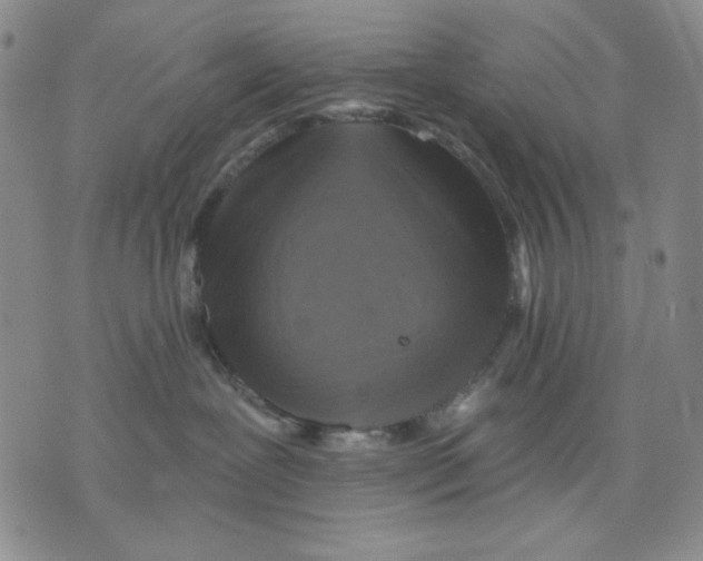 X0000075810239200610151437