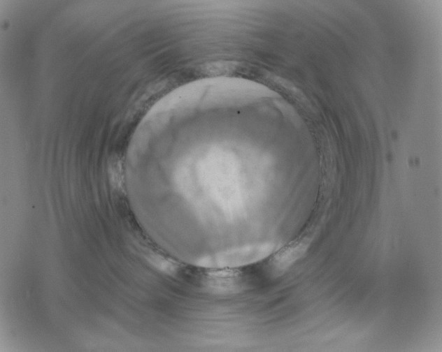 X0000075810240200610151437