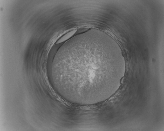 X0000075810241200610151437