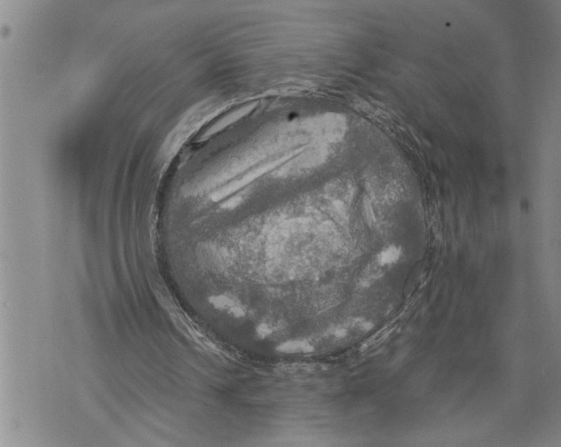 X0000075810242200610151437